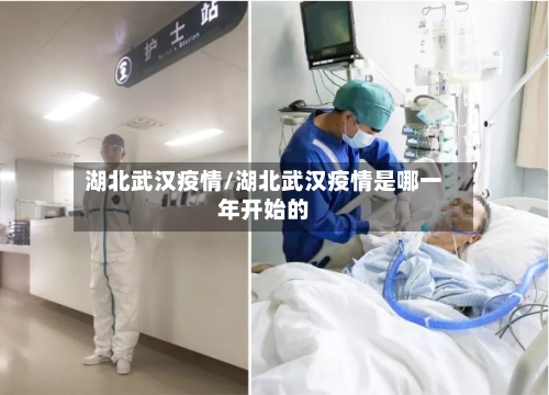 湖北武汉疫情/湖北武汉疫情是哪一年开始的