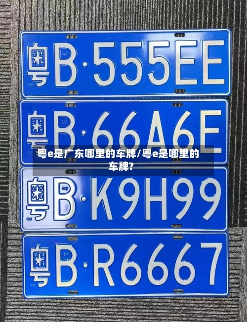 粤e是广东哪里的车牌/粤e是哪里的车牌?