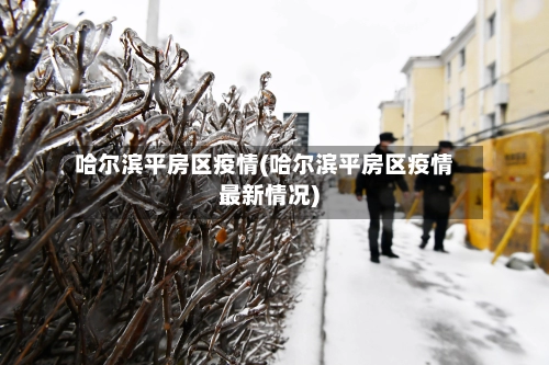 哈尔滨平房区疫情(哈尔滨平房区疫情最新情况)