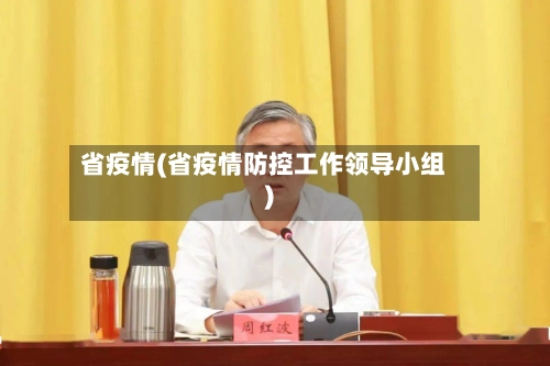 省疫情(省疫情防控工作领导小组)
