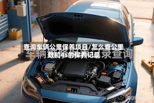 查询车辆公里保养项目/怎么查公里数和4s的保养记录