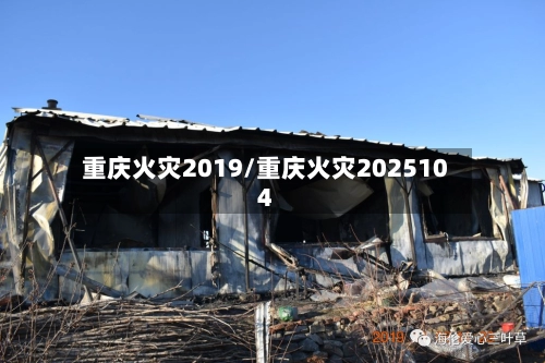 重庆火灾2019/重庆火灾2025104-第2张图片