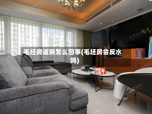 毛坯房返销怎么回事(毛坯房会反水吗)-第2张图片