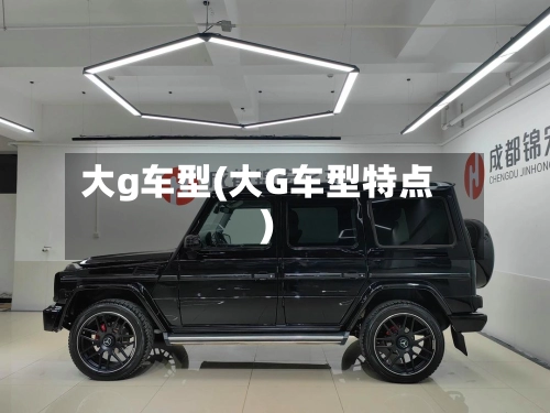 大g车型(大G车型特点)
