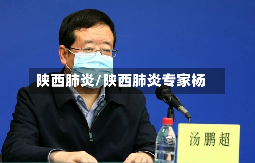 陕西肺炎/陕西肺炎专家杨-第3张图片