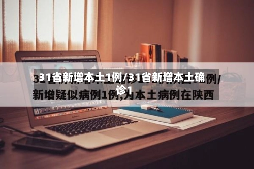 31省新增本土1例/31省新增本土确诊1