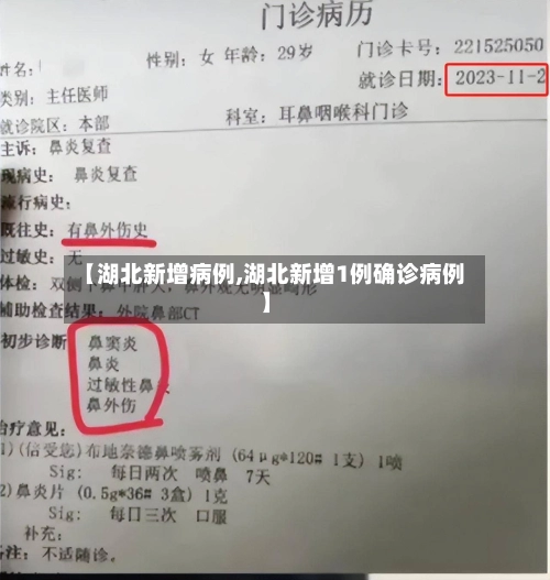 【湖北新增病例,湖北新增1例确诊病例】-第2张图片