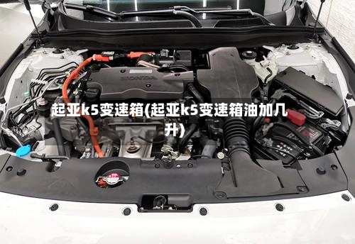 起亚k5变速箱(起亚k5变速箱油加几升)-第2张图片