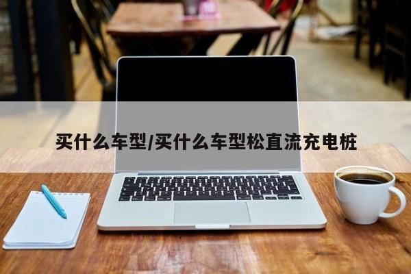 买什么车型/买什么车型松直流充电桩