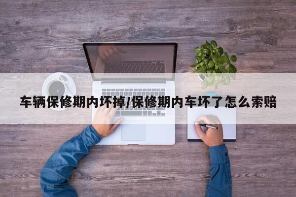 车辆保修期内坏掉/保修期内车坏了怎么索赔