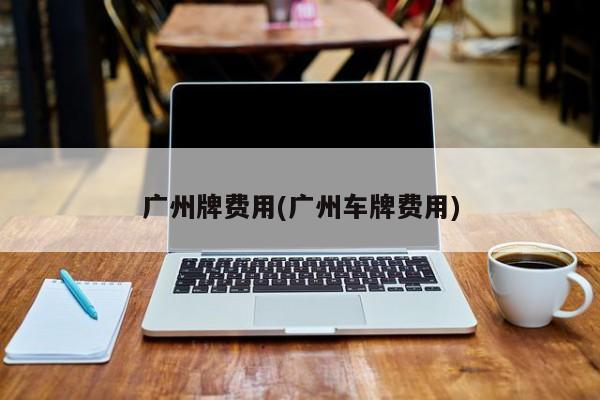 广州牌费用(广州车牌费用)