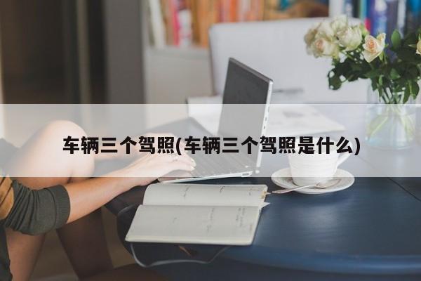 车辆三个驾照(车辆三个驾照是什么)