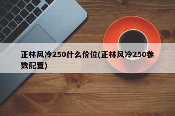 正林风冷250什么价位(正林风冷250参数配置)